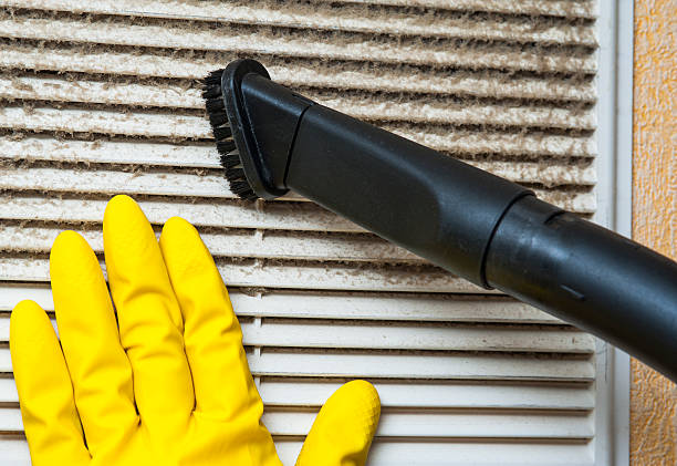 Best Air Vent Cleaning Services  in Madison Heights, MI